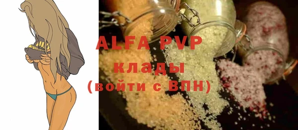 apvp Горняк