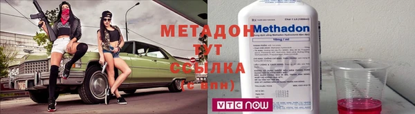 амф Гусь-Хрустальный