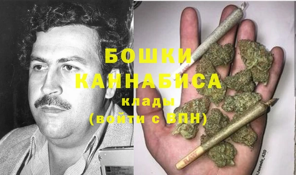 apvp Горняк