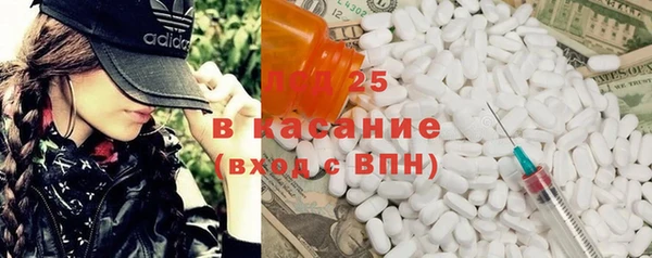 амф Гусь-Хрустальный