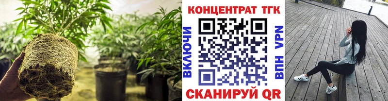 Купить где  Арсеньев  ТГК THC oil 